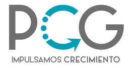 PCG Latam Consulting